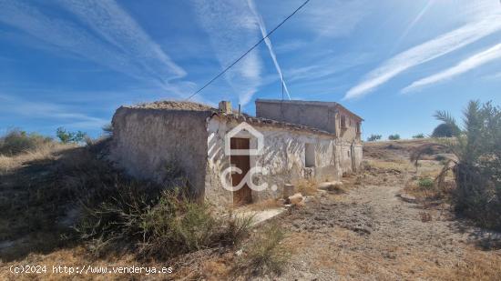 Gran parcela con casa para restaurar. - MURCIA