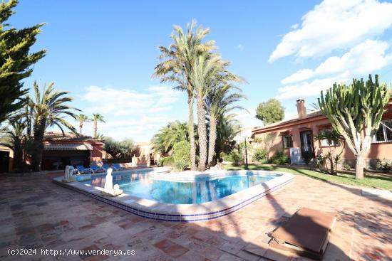 Chalet en Torrevieja El Chaparral - ALICANTE