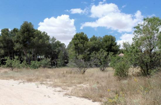 Se Vende en Caravaca de la Cruz - MURCIA