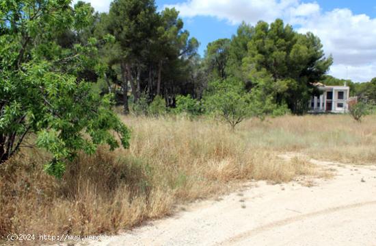 Se Vende en Caravaca de la Cruz - MURCIA