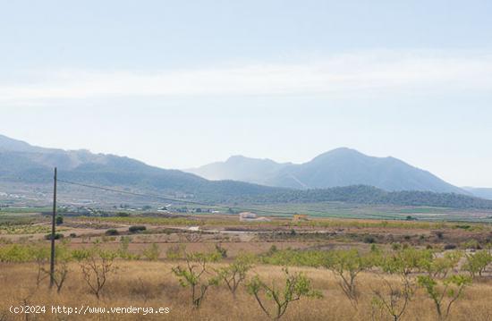 Se Alquila en Pinoso - ALICANTE