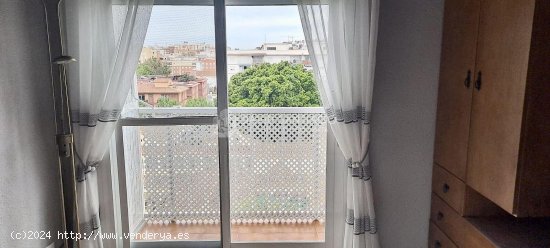 Apartamento en alquiler en Torre del Mar (Málaga)