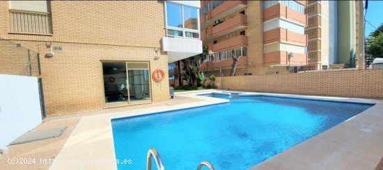 Apartamento en alquiler en Fuengirola (Málaga)