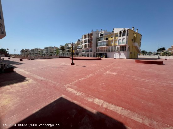 Estudio en venta en Torrevieja (Alicante)