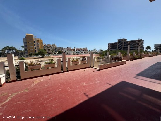 Estudio en venta en Torrevieja (Alicante)