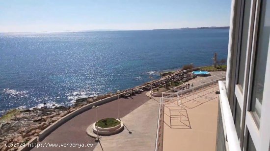 Apartamento en venta en Torrevieja (Alicante)