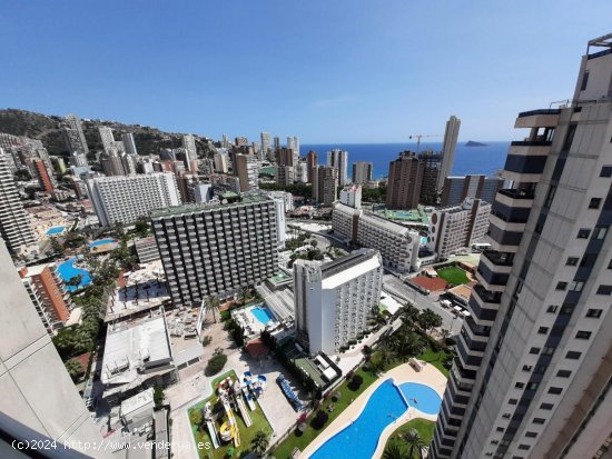  Apartamento en venta en Benidorm (Alicante) 