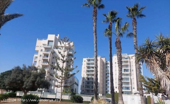 Apartamento en venta en Torrevieja (Alicante)