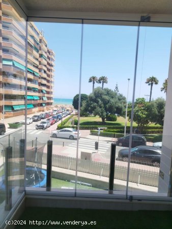 Apartamento en venta en Torrevieja (Alicante)