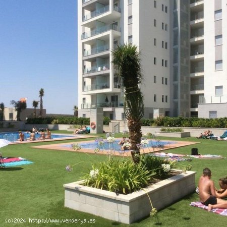 Apartamento en venta en Torrevieja (Alicante)