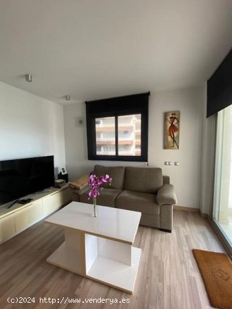 Apartamento en venta en Torrevieja (Alicante)