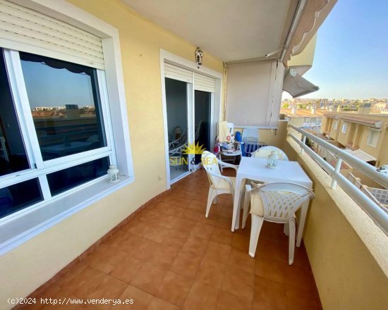 Apartamento en alquiler en Orihuela (Alicante)