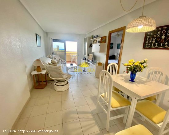 Apartamento en alquiler en Orihuela (Alicante)