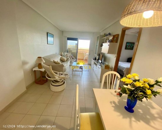 Apartamento en alquiler en Orihuela (Alicante)