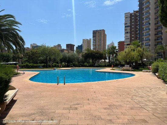  Apartamento en venta en Benidorm (Alicante) 