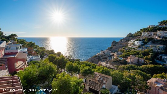 Piso en alquiler en Andratx (Baleares)