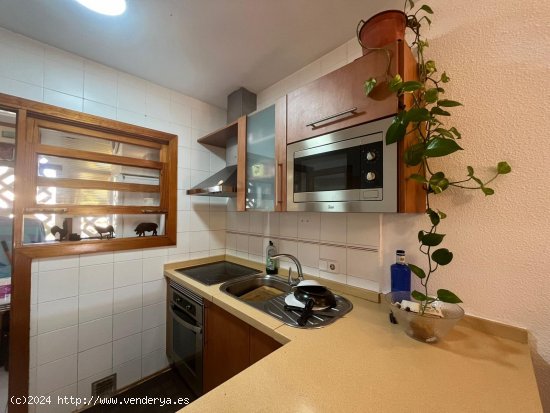 Apartamento en alquiler en Calvià (Baleares)