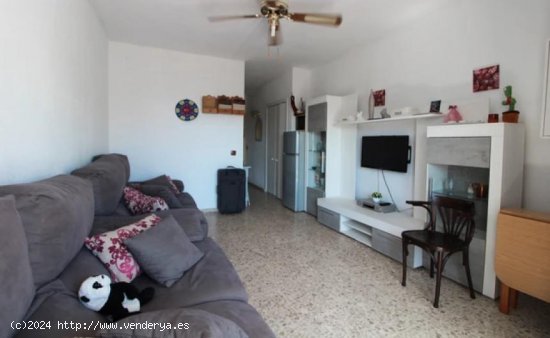 Estudio en venta en Torremolinos (Málaga)