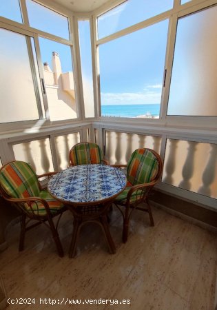  Apartamento en alquiler en Guardamar del Segura (Alicante) 