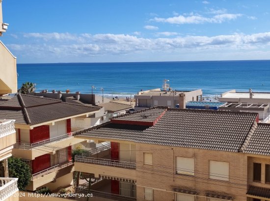 Apartamento en alquiler en Guardamar del Segura (Alicante)