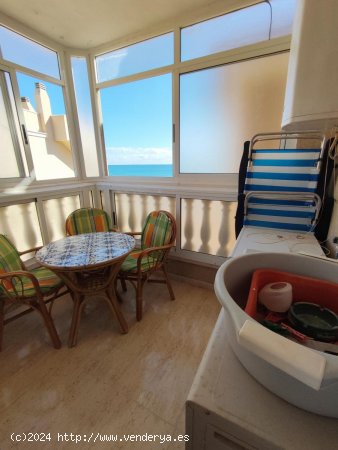 Apartamento en alquiler en Guardamar del Segura (Alicante)