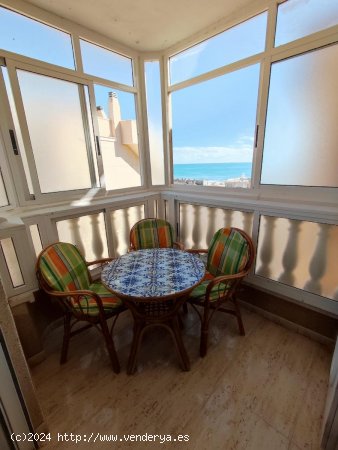 Apartamento en alquiler en Guardamar del Segura (Alicante)