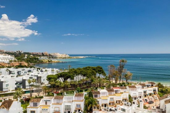  Apartamento en venta a estrenar en Estepona (Málaga) 