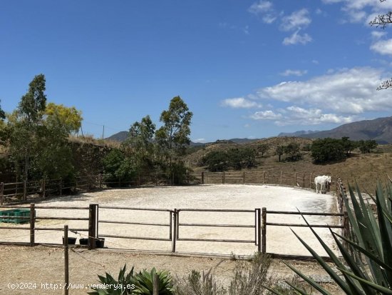 Finca en venta en Mijas (Málaga)