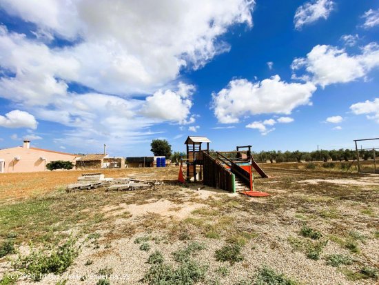 Finca en venta en Montbrió del Camp (Tarragona)