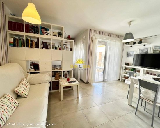 Estudio en alquiler en Orihuela (Alicante)