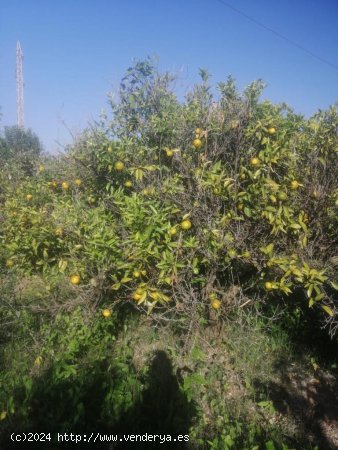 Solar en venta en Castellón de la Plana (Castellón)