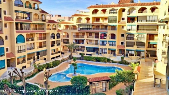 Apartamento en venta en Torrevieja (Alicante)