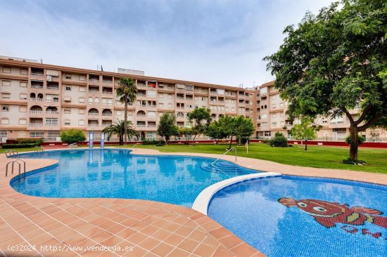 Apartamento en venta en Torrevieja (Alicante)