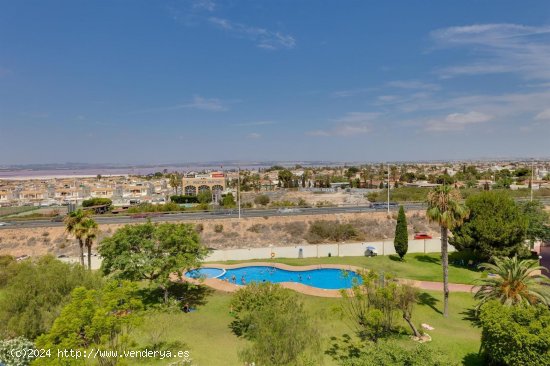 Apartamento en venta en Torrevieja (Alicante)