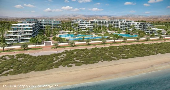 Apartamento en venta a estrenar en El Ejido (Almería)