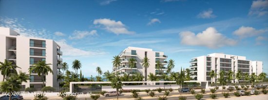 Apartamento en venta a estrenar en El Ejido (Almería)