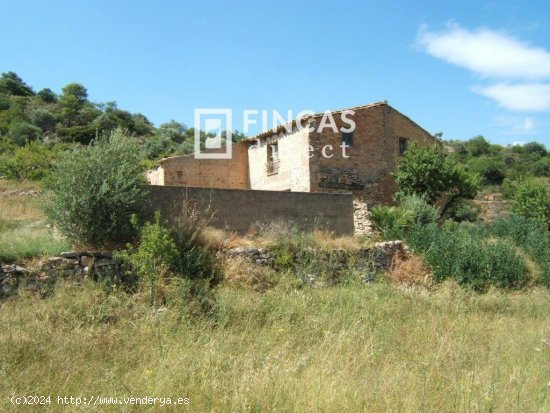 Finca en venta en Benifallet (Tarragona)