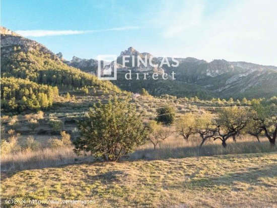 Finca en venta en Benifallet (Tarragona)