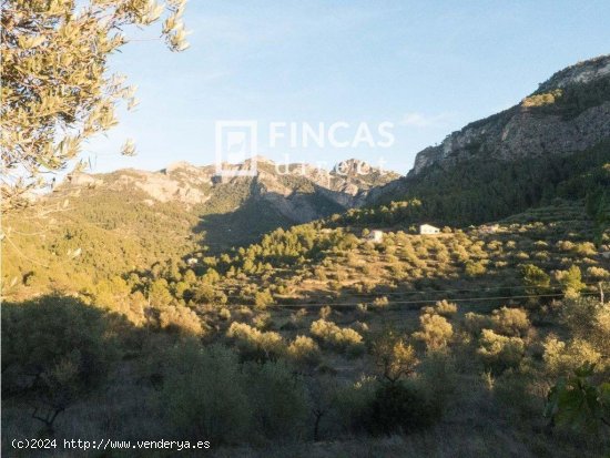 Finca en venta en Benifallet (Tarragona)