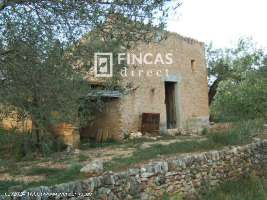 Finca en venta en Xerta (Tarragona)