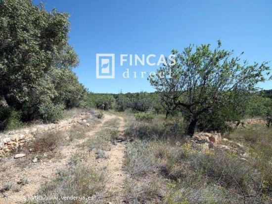 Finca en venta en L Ametlla de Mar (Tarragona)