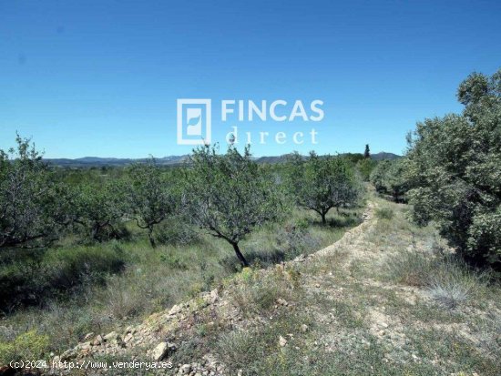 Finca en venta en L Ametlla de Mar (Tarragona)