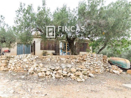 Finca en venta en Tortosa (Tarragona)