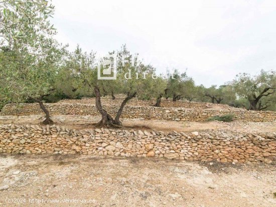 Finca en venta en Tortosa (Tarragona)