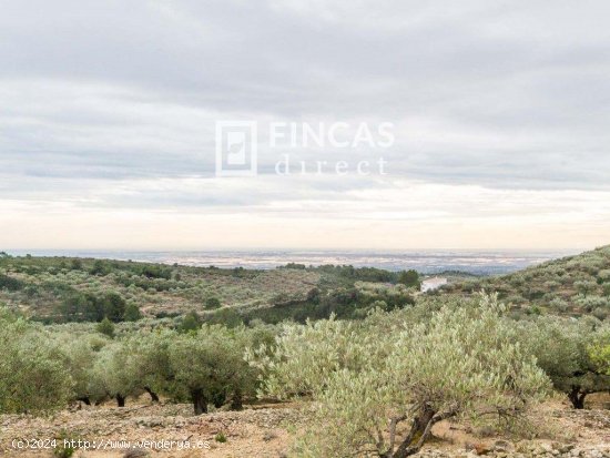 Finca en venta en Tortosa (Tarragona)