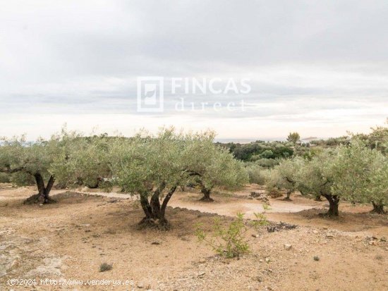 Finca en venta en Tortosa (Tarragona)