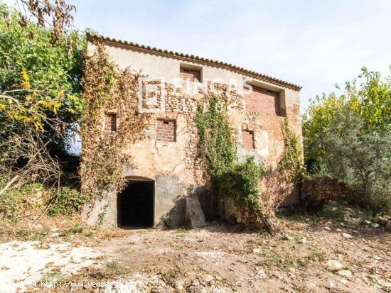 Finca en venta en Marçà (Tarragona)