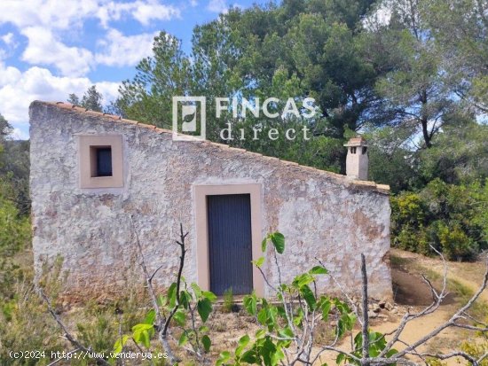  Finca en venta en El Perelló (Tarragona) 