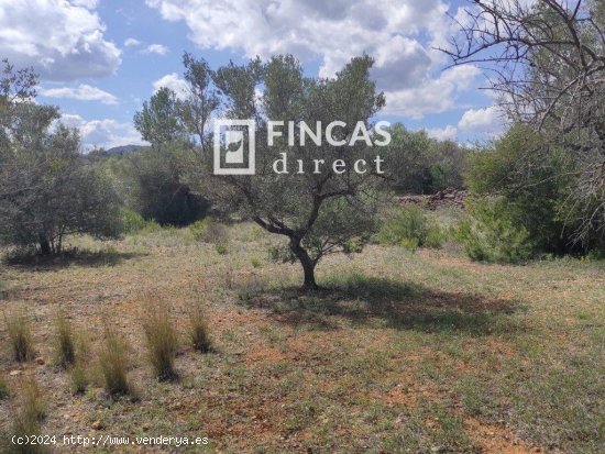 Finca en venta en El Perelló (Tarragona)