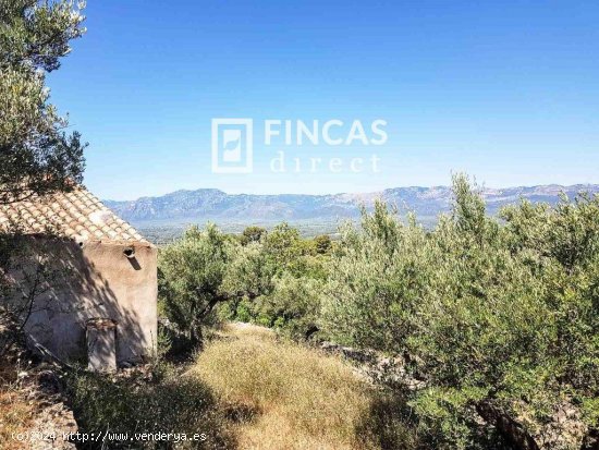 Finca en venta en Tortosa (Tarragona)